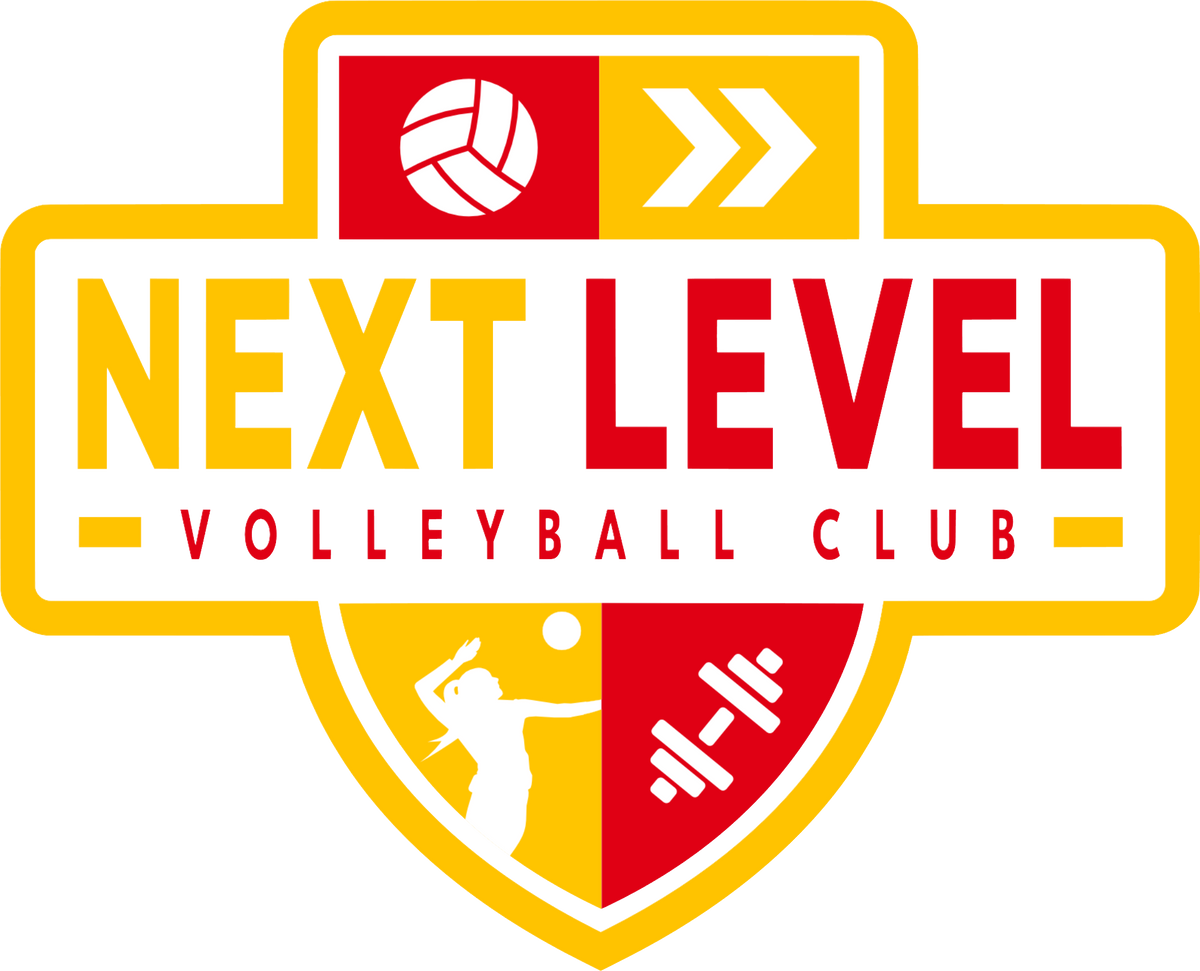 Next Level Volleyball District® Women's Perfect Tri® Tee DM130L